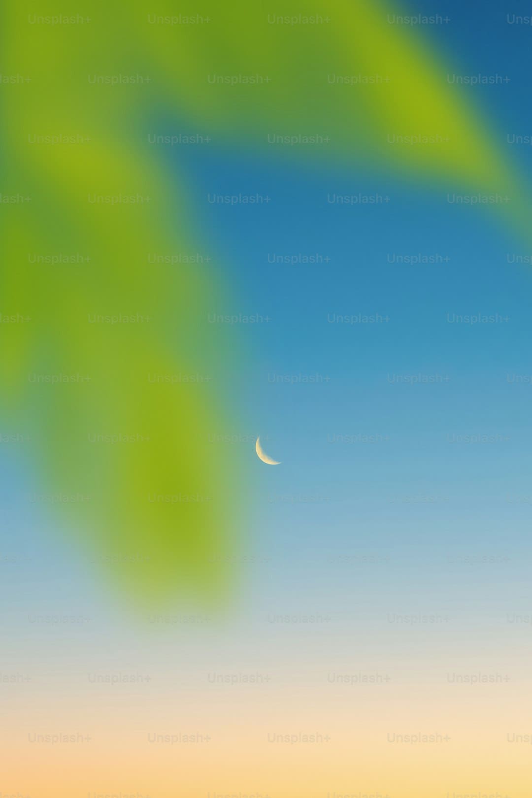 https://static.kpwlw.com/61b11b52fc52b4d2/D58F074C955353592B67BF5465E570C3.jpg